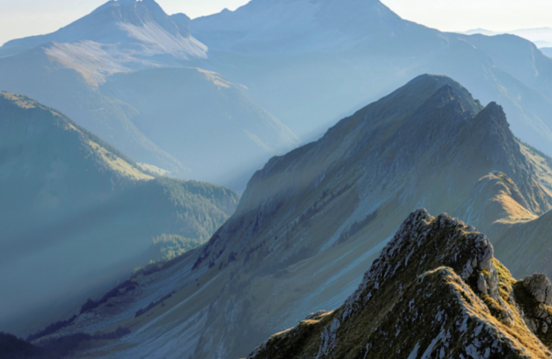 What Sets a CFP Professional Apart?