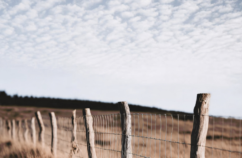 Adapting the Plan over Time